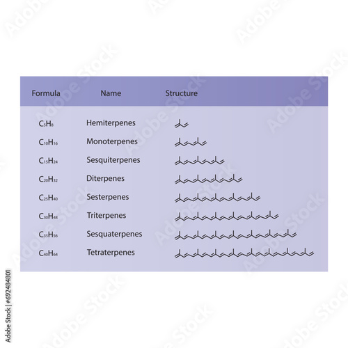 Diagram of Terpenes structure - Hemiterpenes, Monoterpenes, Diterpenes, Tetraterpenes and more - skeletal structure. 