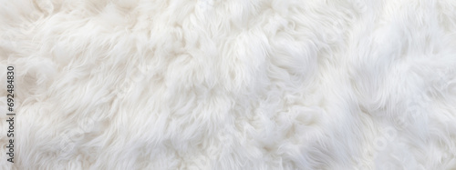 white wool texture background, light natural sheep wool, texture of white fluffy fur, close up of a long wool carpet, banner