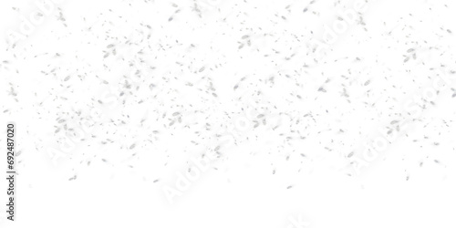 of falling snow on a white background. It can be used as a background for winter themed designs, holiday cards or as a texture for 3D modeling. photo