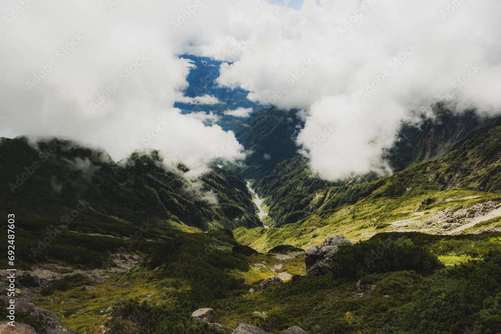 夏の山 夏の山