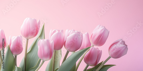 Beautiful composition spring flowers. Bouquet of pink tulips flowers on pastel pink background. Valentine s Day  Easter  Birthday  Happy Women s Day  Mother s Day. Flat lay  top view  copy space