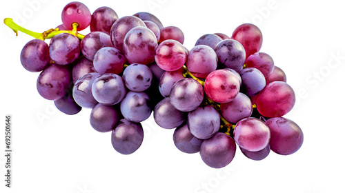 Isolated bunch of grapes merlot variety closeup on transparent or white background.  photo