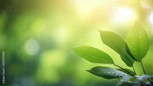 Eco-Friendly Elegance  Green Leaf Close-Up on Sunlit Blurred Greenery