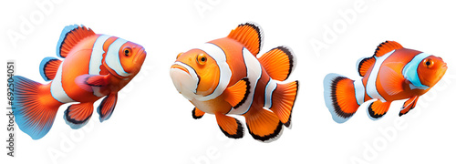 Set of Clown Fish: An Orange and White Collection, Isolated on Transparent Background, PNG