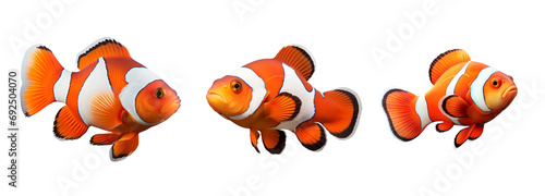 Set of Clown Fish in Shades of Orange and White, Isolated on Transparent Background, PNG