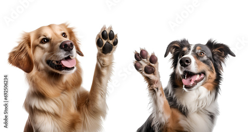 Set of cute dog giving high five, Isolated on Transparent Background, PNG