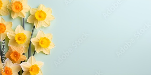 Daffodil flowers on pastel background. Creative lifestyle  summer  spring concept. Copy Space.