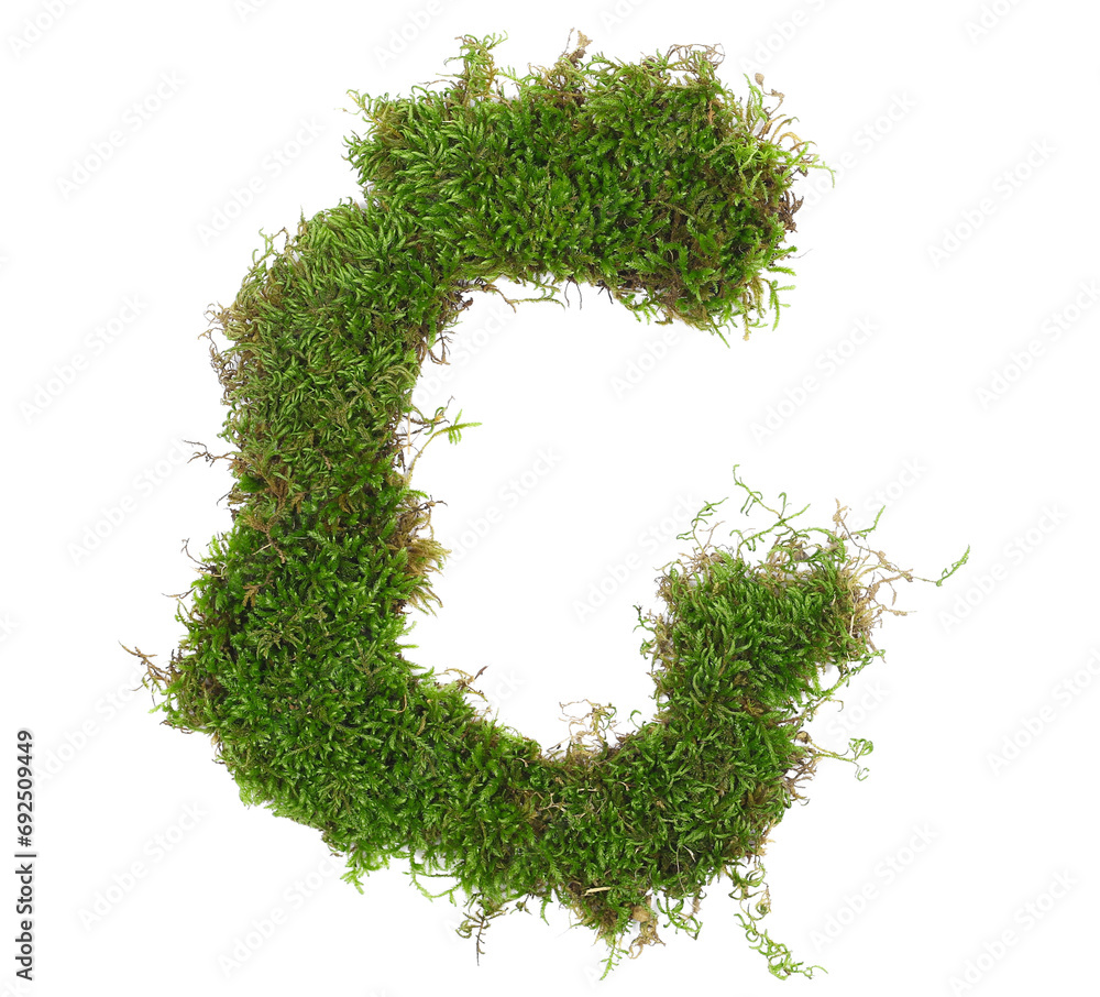 Green moss in shape alphabet letter C isolated on white, clipping path, top view Green moss in shape alphabet letter C isolated on white, clipping path, top view