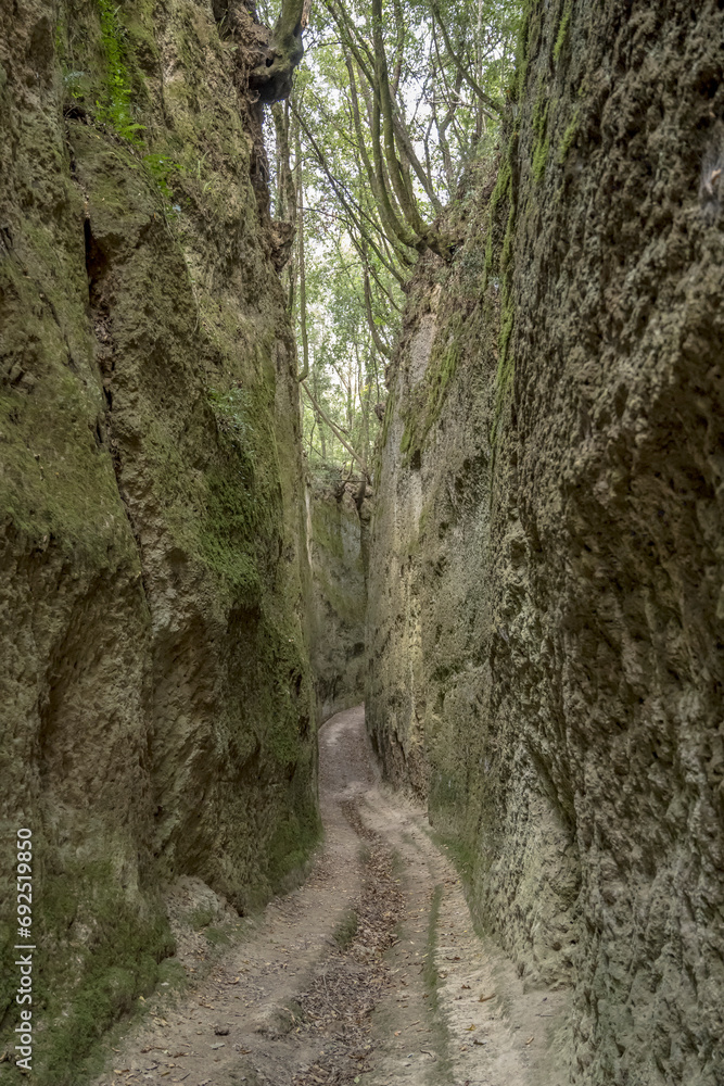 Vie Cave winding trail under forest, Pitigliano, Italy Vie Cave winding trail under forest, Pitigliano, Italy