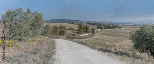 winding gravel dirt road in hilly countryside  near Scansano  Italy