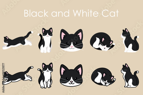 Simple and adorable Black and white Cat illustrations set