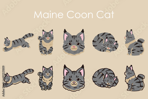 Simple and adorable Maine Coon Cat illustrations set