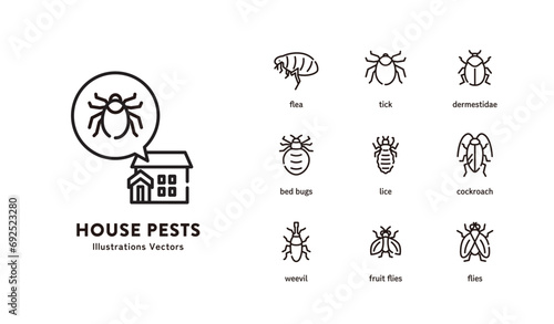 pests in the house photo