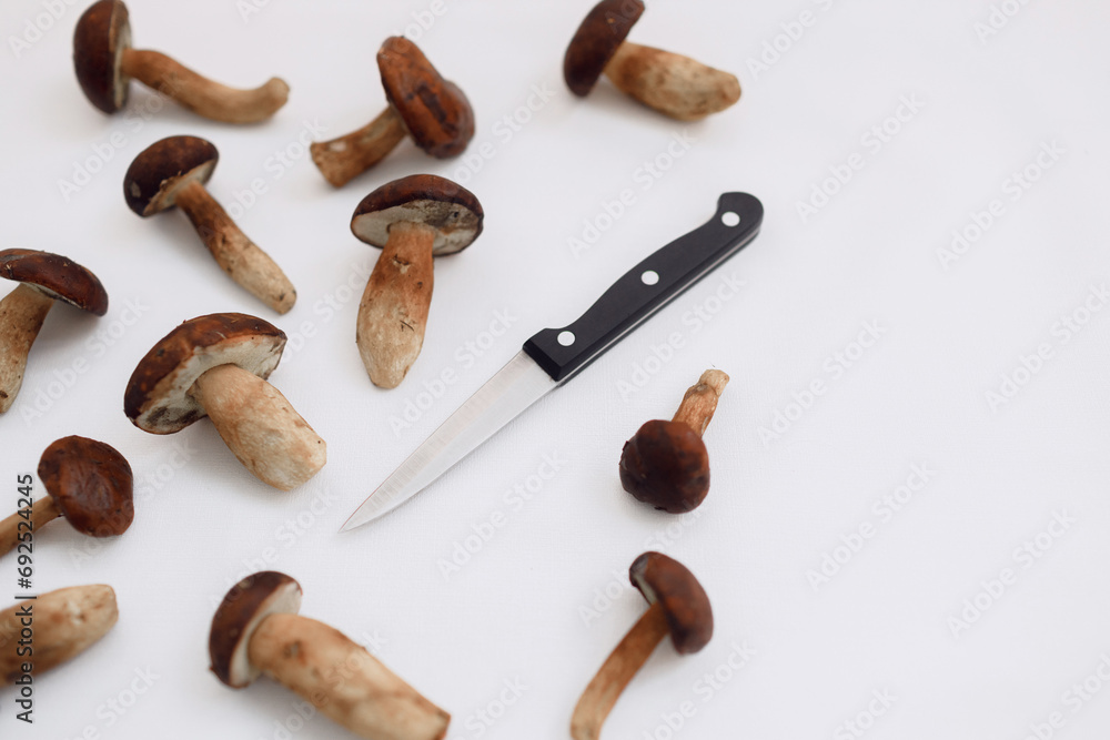 Polish mushroom with a knife for cleaning on a light background. Copy space. Top view. Organic forest food, edible fresh picked Porcini mushroom. Autumn harvest concept. Mushroom picking Polish mushroom with a knife for cleaning on a light background. Copy space. Top view. Organic forest food, edible fresh picked Porcini mushroom. Autumn harvest concept. Mushroom picking