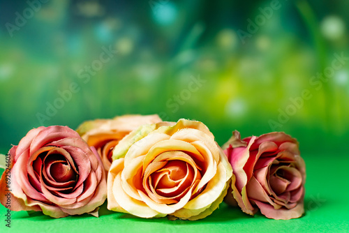 Concept of fresh field Spring flowers on pastel orange background. Beautiful rose bloomed flowers.