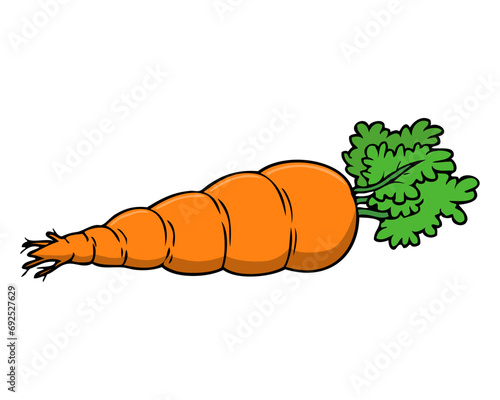 carrot vector illustration