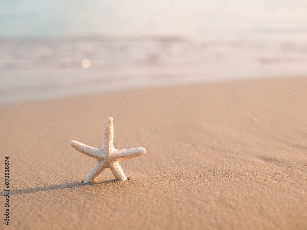 Starfish on the beach with sea background Starfish on the beach with sea background
