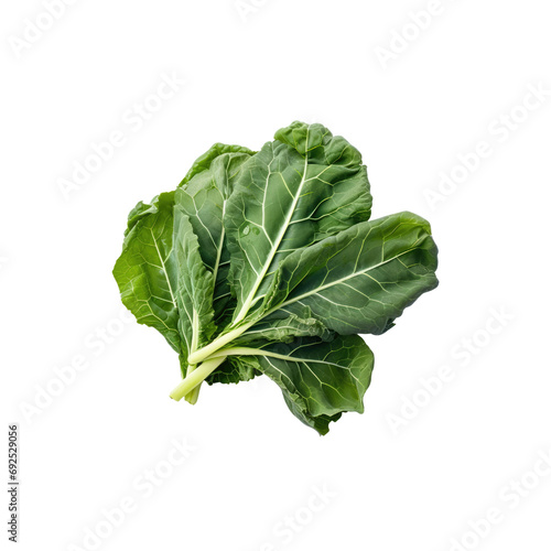 Kale isolate transparent white background