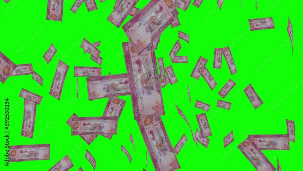 Green Ruppe Note 20 SRI LANKAN RUPEE notes falling Green screen 素材庫影片 | Adobe Stock