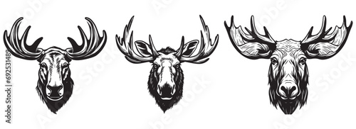 Moose with antlers on the background of the forest and trees, woodcut, black and white vector graphics, silhouette laser cutting © Cris