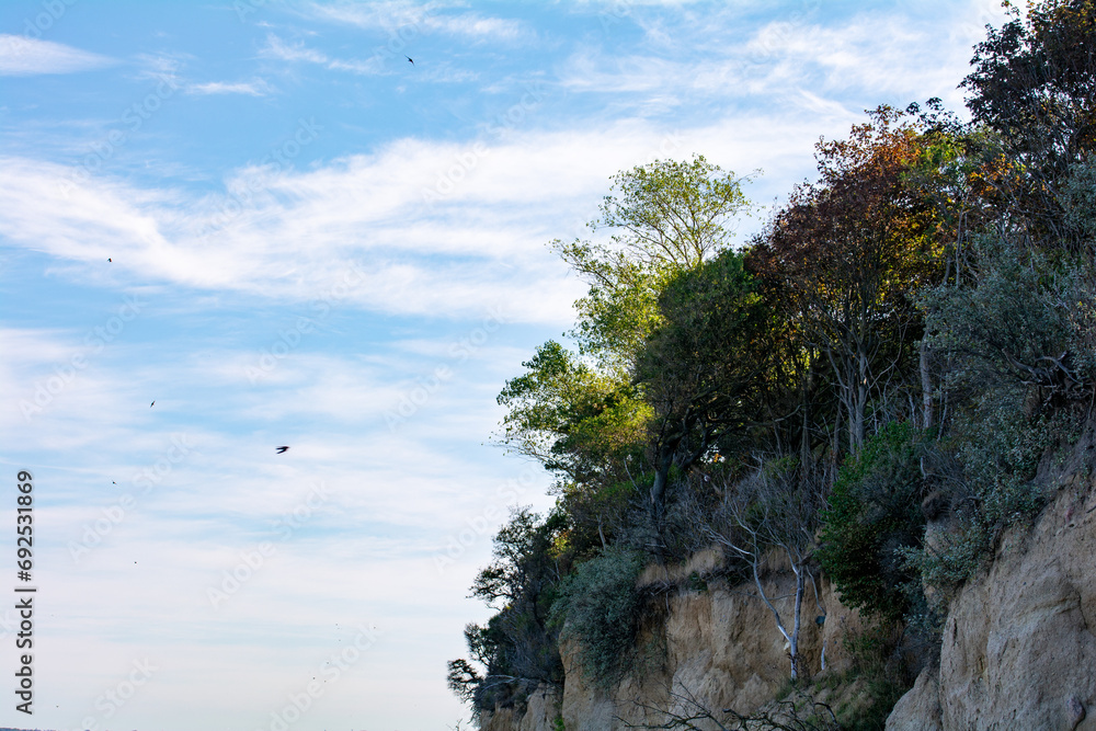 Steep coast with erosion on the island of Poel on the Baltic Sea, Germany Steep coast with erosion on the island of Poel on the Baltic Sea, Germany