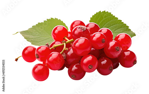 Richness Abounds Vibrant Red Berries on a White or Clear Surface PNG Transparent Background