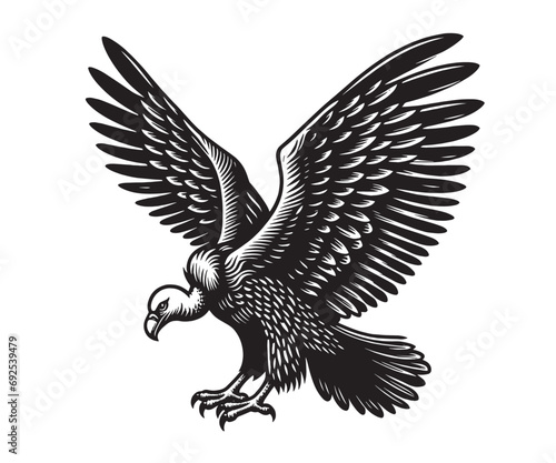 Beautiful bird of prey vulture. Vintage engraving illustration