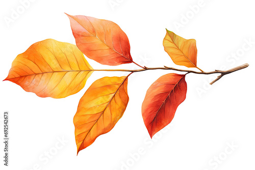 Watercolor Tropical colorful autumn dry leaves elements isolated on transparent background, welcome bouquets greeting or wedding card invitation, decoration and mock up. photo