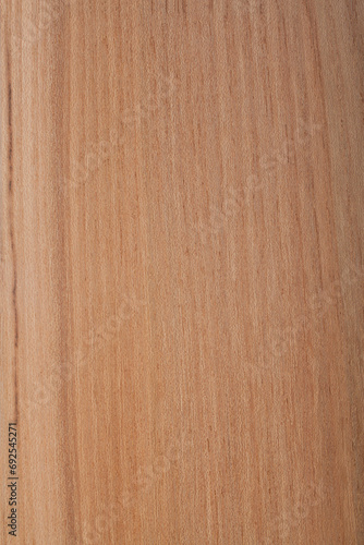 Holzoberfläche Ulme oder Rüster Holzmuster - elm wood