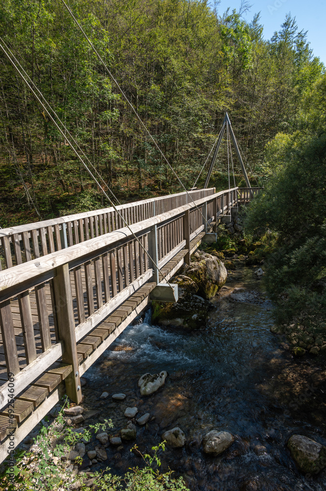 Fototapeta premium passerelle sur La Valserine Rivière Sauvage.