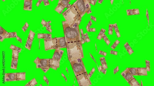 20 SOUTH AFRICAN RAND notes falling Green screen