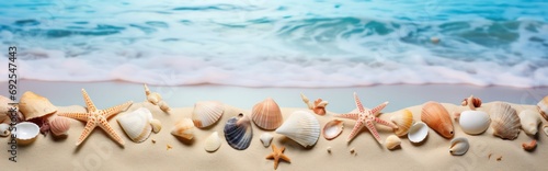 Seashells scattered along the seashore create a picturesque beach holiday background