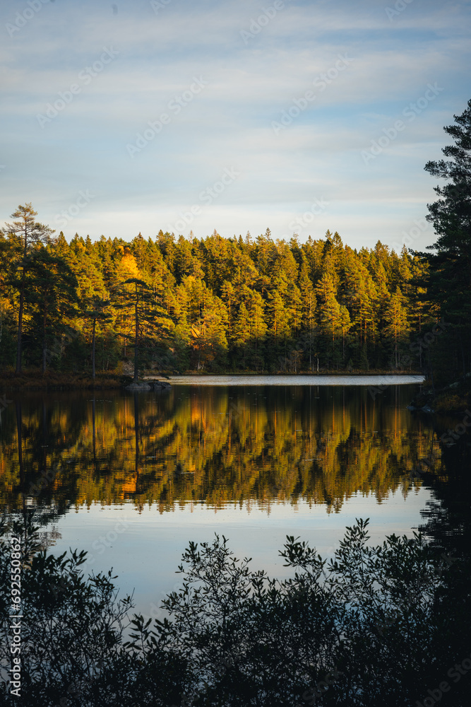 Fototapeta premium Autumn in Åsnen national park