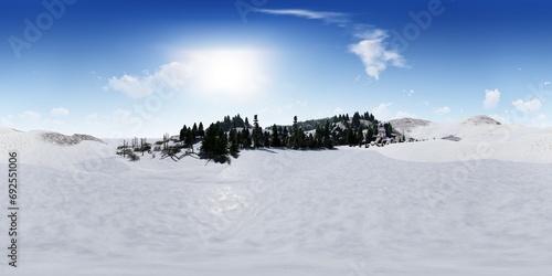 Snow-covered pine forest scene  360 panorama  3D rendering
