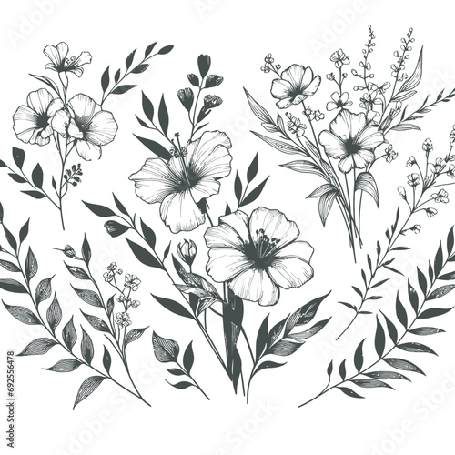 botanical floral line element for wedding card design isolated