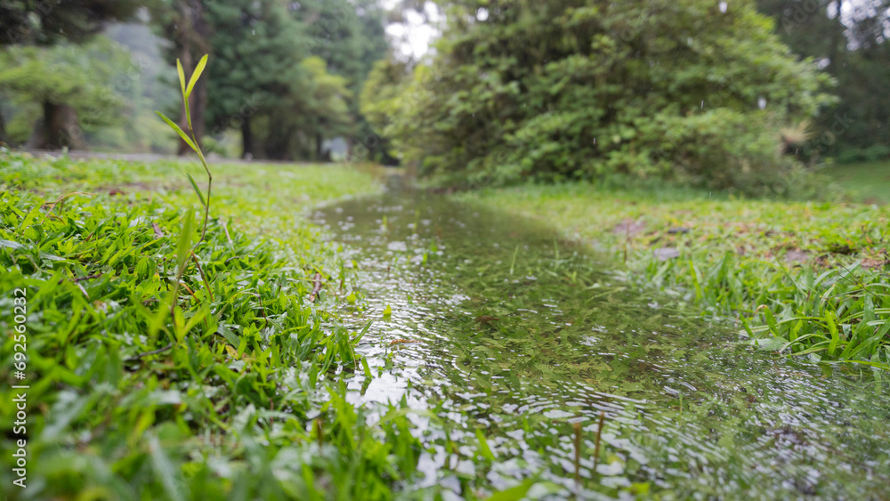 Fototapeta premium Lago Negro em dia de chuva na cidade de Gramado em Rio Grando do Sul - Brasil