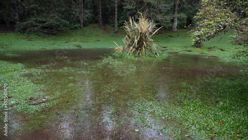 Lago Negro em dia de chuva na cidade de Gramado em Rio Grando do Sul - Brasil photo