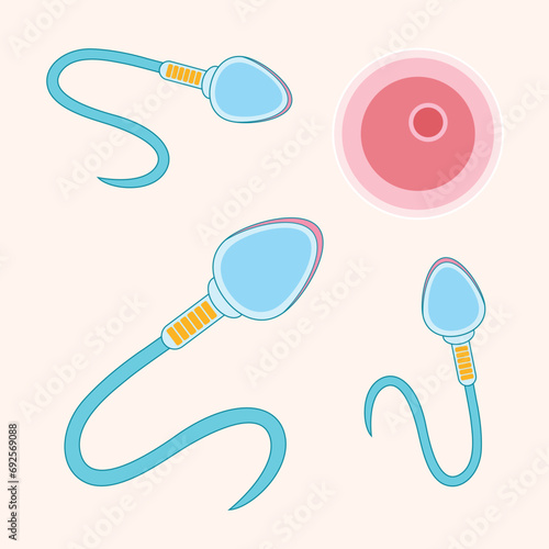 Biology Science Educational Sperm Cell and Egg Cell Illustration. Male and Female Fertility Concept about Reproduction and Human Evolution. Sperm and Egg Isolated on White Background