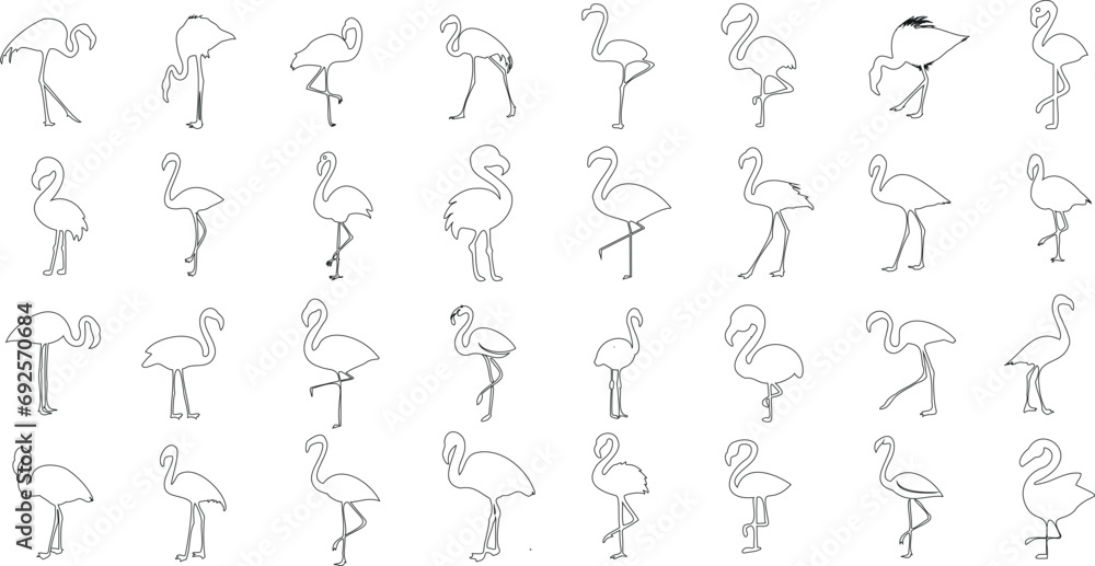 Flamingo, bird, line art, illustration, seamless pattern, vector, tropical, exotic, nature, wildlife, animal, zoo, summer, beach, pink, flamingos, flock, group, standing, walking, flying, dancing Flamingo, bird, line art, illustration, seamless pattern, vector, tropical, exotic, nature, wildlife, animal, zoo, summer, beach, pink, flamingos, flock, group, standing, walking, flying, dancing