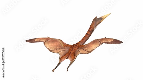 quetzalcoatlus is flying glide at cool rear view photo