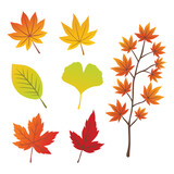 Autumn falling leaves set. Forest maple leaf in September season, flying orange foliage from a tree on a white background, isolated template vector illustration of fall autumn.