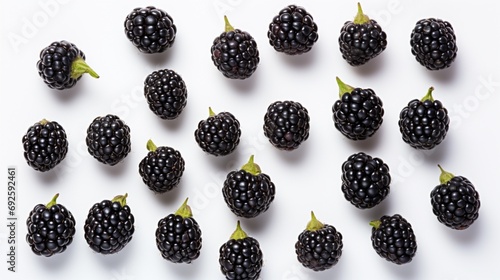 a solo blackberry, each tiny drupelet perfectly arranged against a pristine white backdrop.
