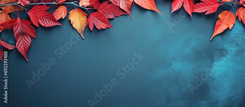 Autumn Background With Colored red leaves on blue