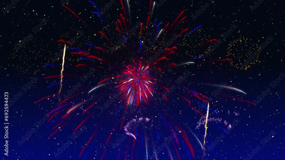 fireworks in the night sky. Seamless loop ready digital animation fireworks in the night sky. Seamless loop ready digital animation
