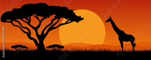 Silhouettes of wild African giraffes at sunset. Beautiful sunset landscape in Africa. Safari. Flat vector illustration for design, poster, banner, card, cover.