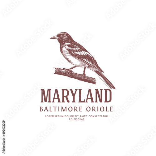 Maryland State Bird Logo Baltimore Oriole