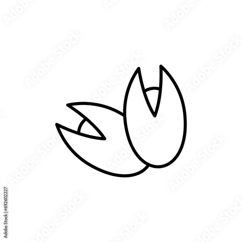 Pistachio vector line icon illustration