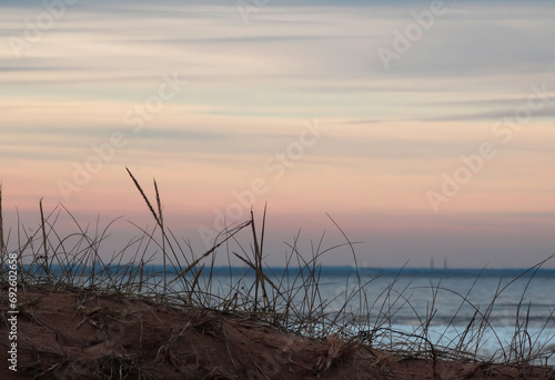      Dawn on the shore of the bay in late autumn.