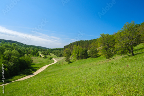 rural road going into the distance between green hills with trees