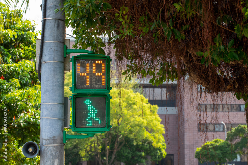 Obraz premium Taiwan, Taipei, unique, pedestrian signal lights, little green men, traffic lights